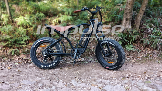 INTRODUCTORY SALE!  Marauder All Terrain Retro Style Fat Tire Electric Bicycle with 750 Watt Bafang Motor